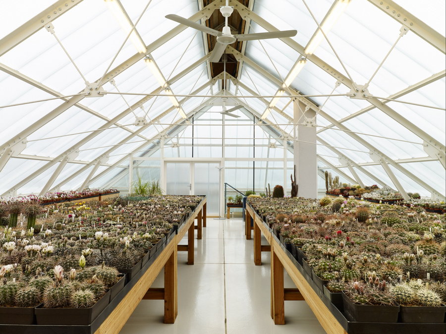 Inside the home's greenhouse, several cacti grow all year long to help regulate the temperatures in the house below. 