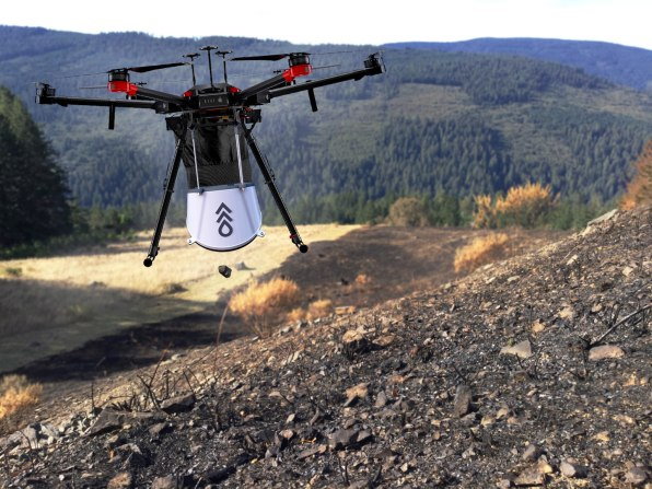 Flash Forest's AI-powered, seed-shooting drones are hoping to bring life back to the Earth's forests.