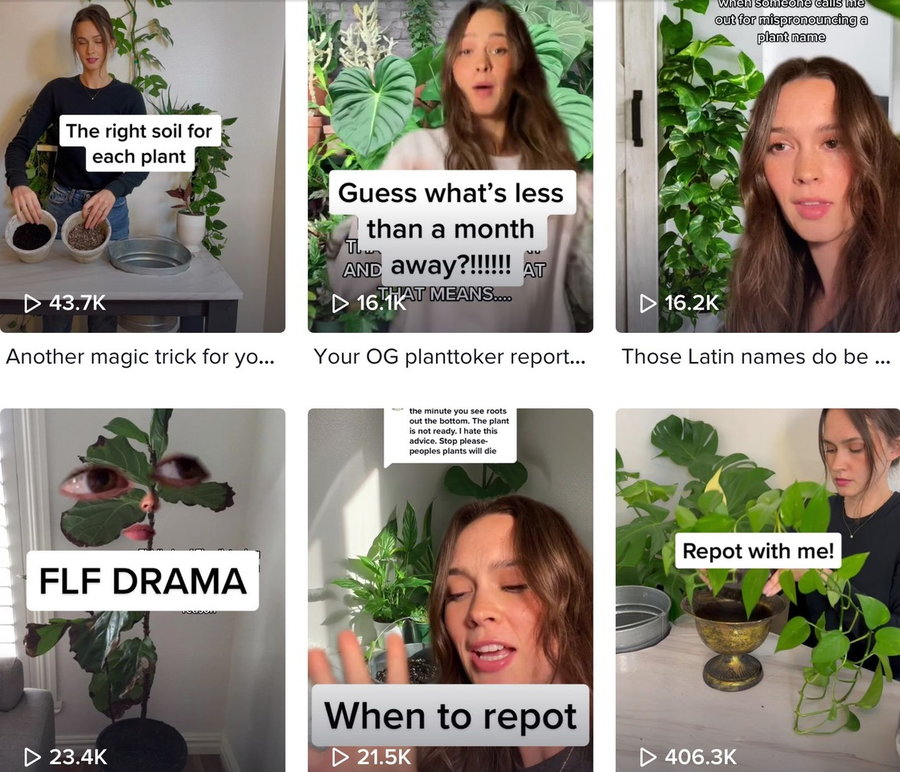 TikTok is abuzz with the green-centric #PlantMom trend.