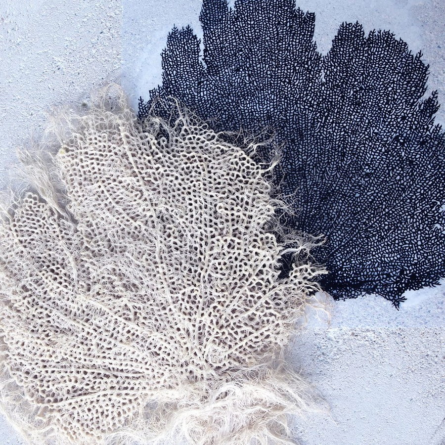 Close-up view of the coral-like textures that make up Zena Holloway's plant root garments.