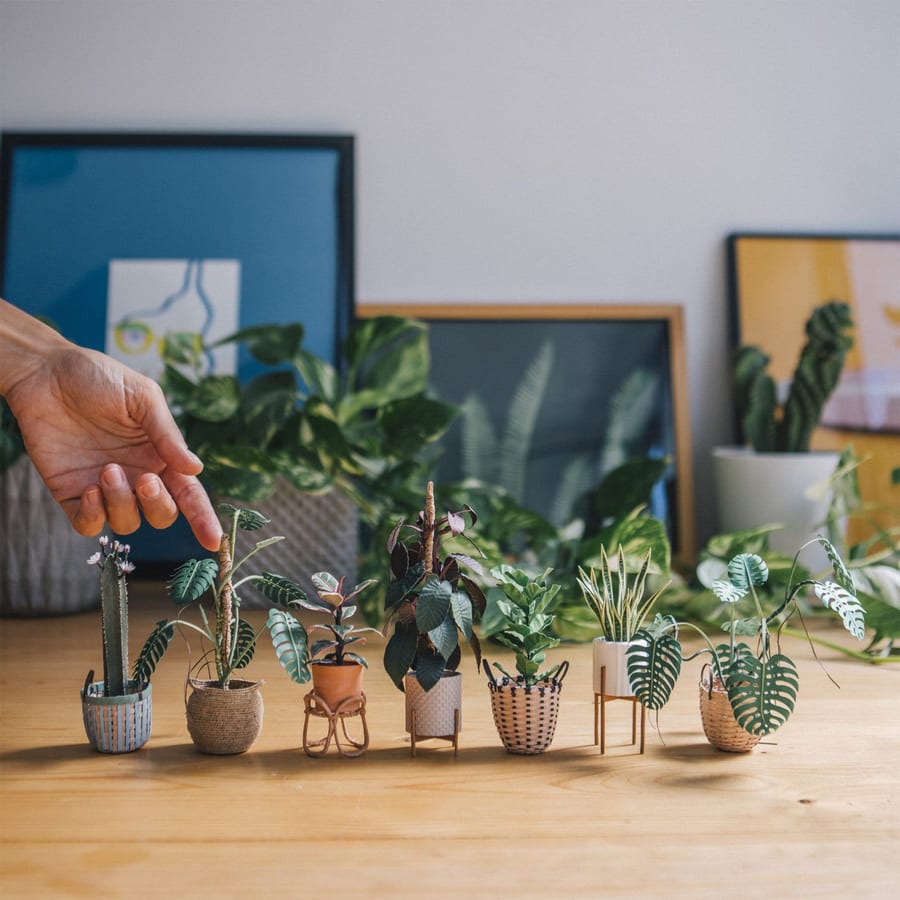 Miniature artificial houseplants handcrafted by artist Raya Sader Bujana.