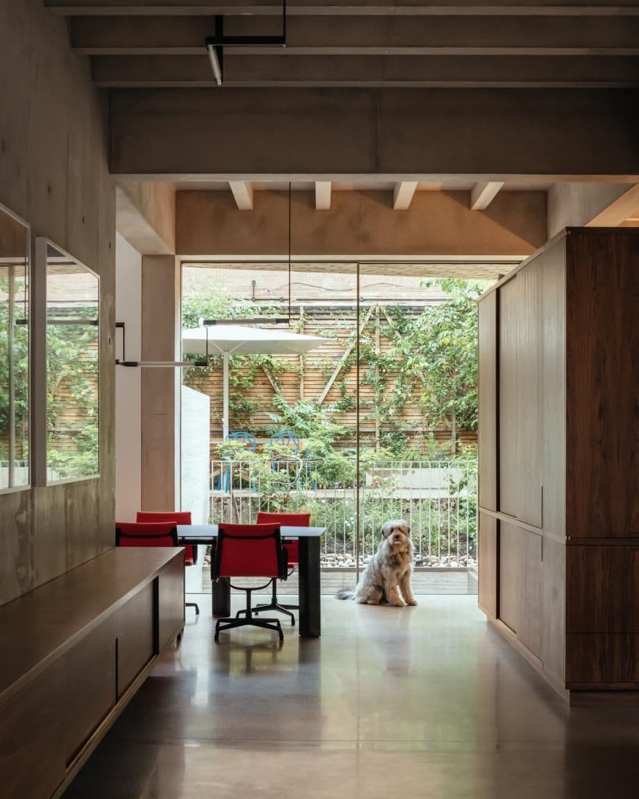 View through the Jamie Fobert-renovated home on Primrose Hill shows a lush green garden space behind an adorable dog.
