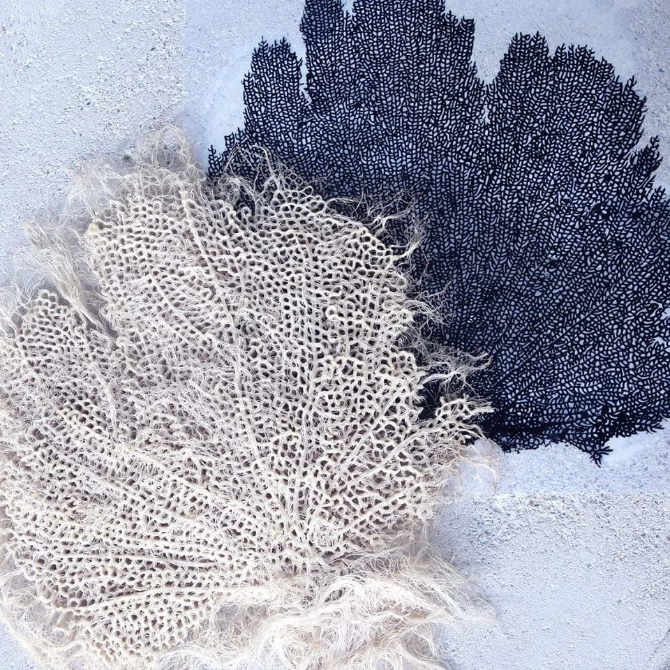 Close-up view of the coral-like textures that make up Zena Holloway's plant root garments.
