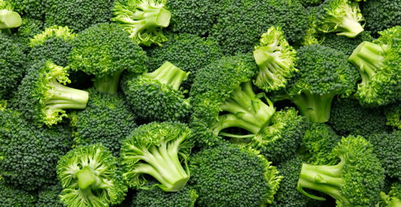 20_Broccoli.jpg