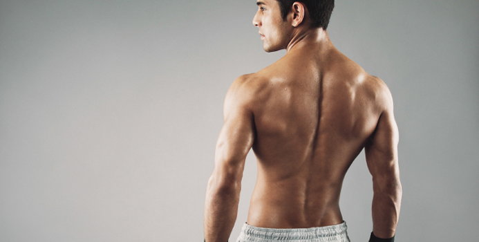 back muscle_000044635862_Small.jpg