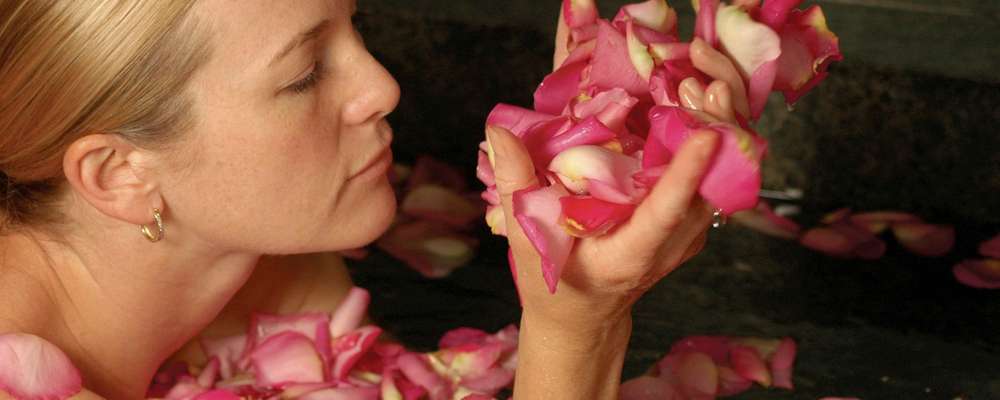 Indulge in a relaxing massage in our back garden Absolute Nirvana Spa, perhaps followed up with a rose petal bath in a hand carved granite tub, as you nibble in tropical fruits and homemade truffles.