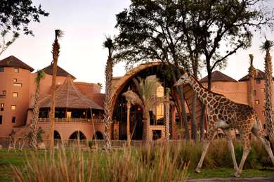 Download Disney S Animal Kingdom Lodge Expert Review Fodor S Travel