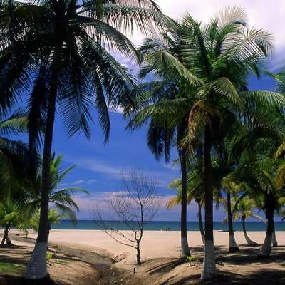 Honduras' Caribbean Coast
