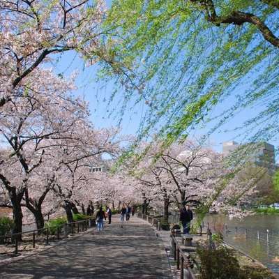 Tokyo