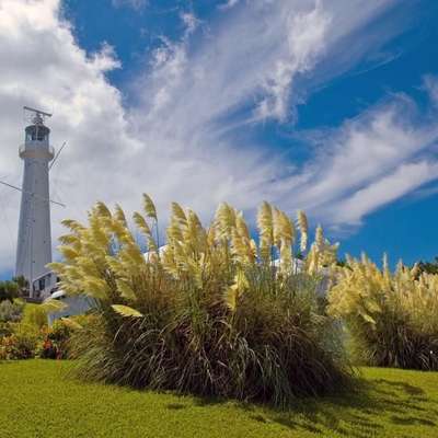 Bermuda