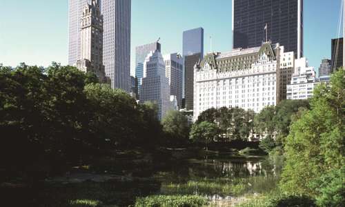 The Plaza