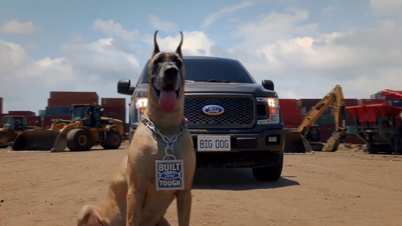 Enjoy Photos of Dogs Hanging With Their Favorite Ford Trucks