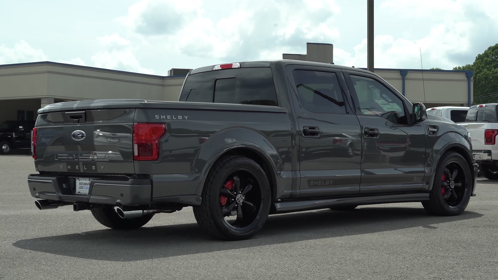 2019 Ford F150 Super Snake Lead Foot Paint