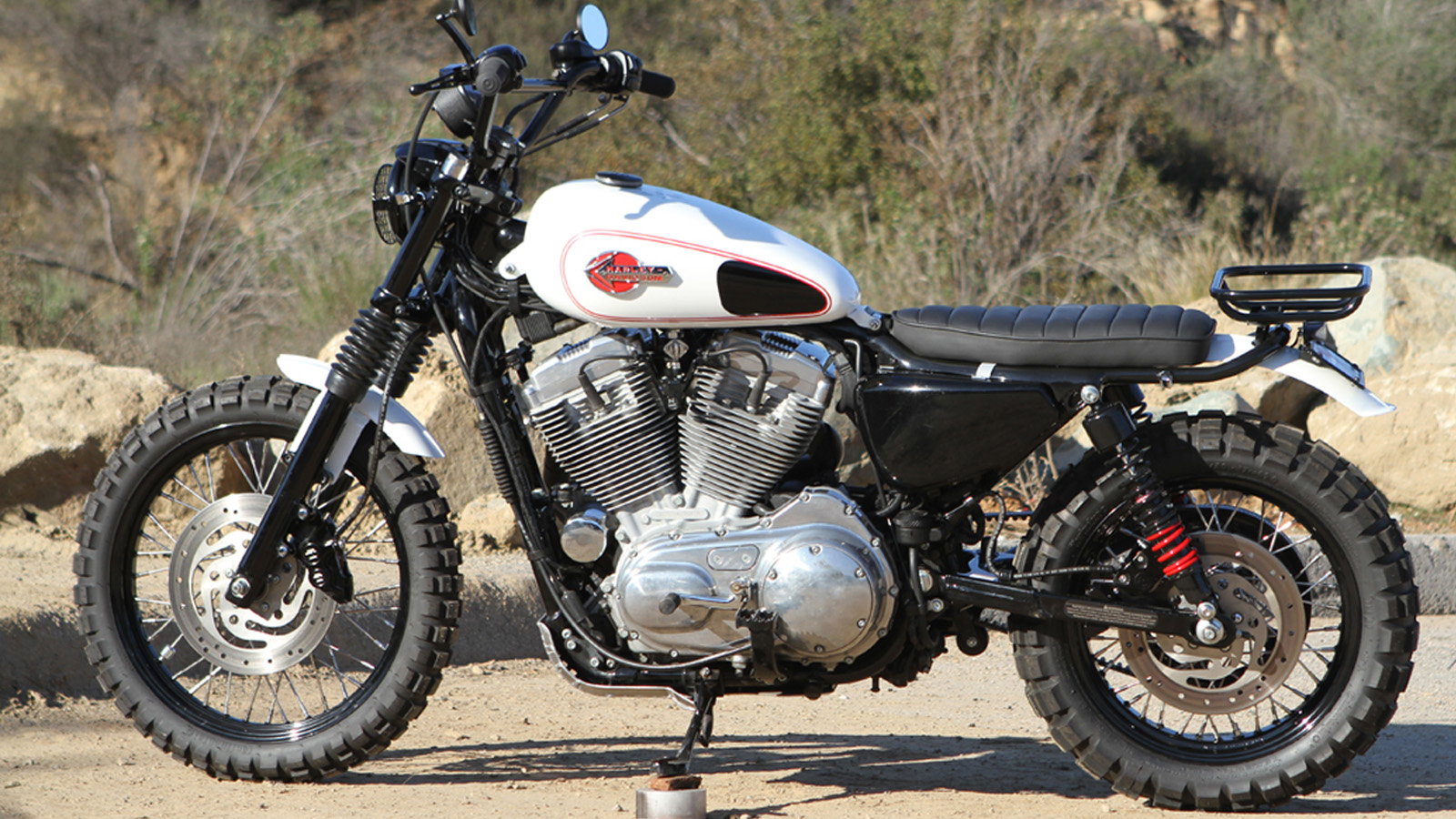 Brutester: An animalistic Harley Sportster 883 scrambler from
