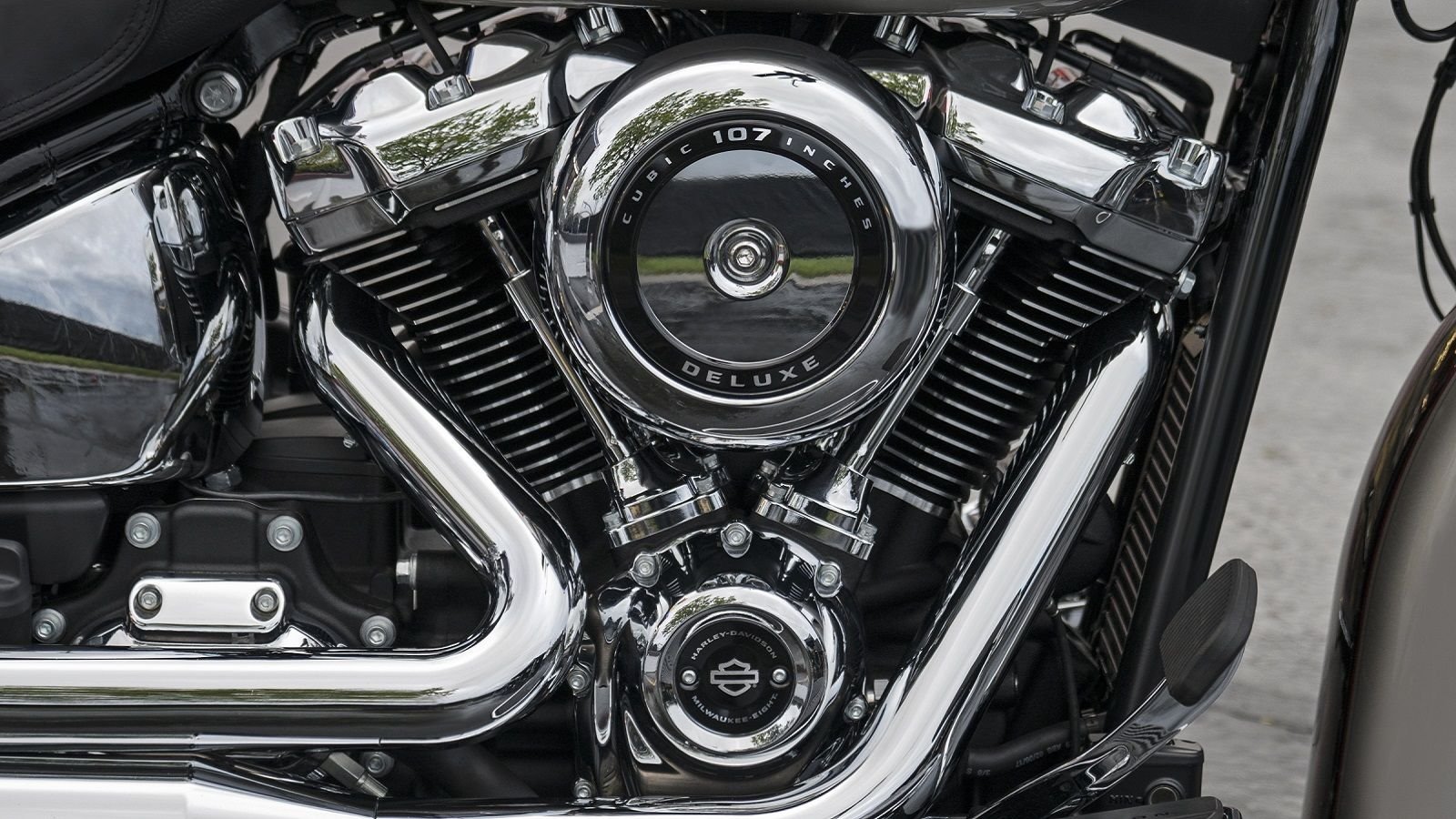 harley softail lineup