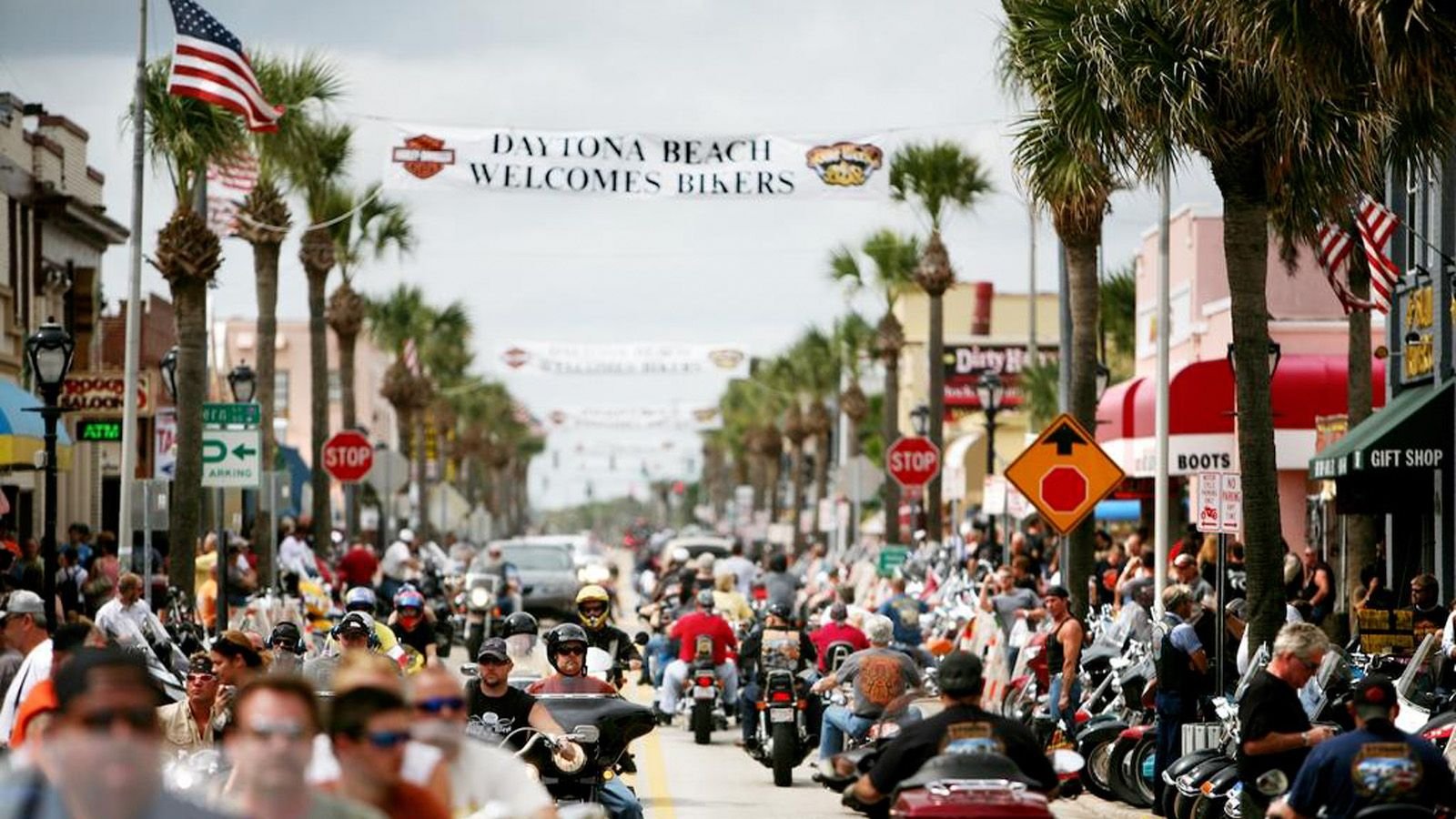 Commemorative Dyna Glide Salutes Daytona Hdforums