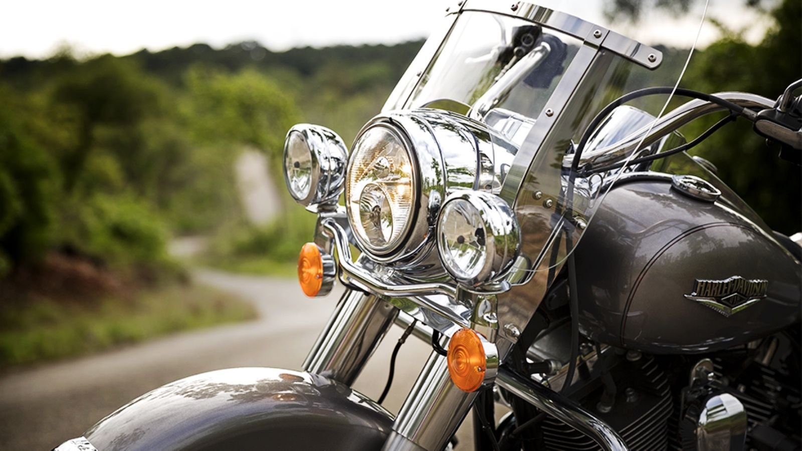 Harley Davidson Light