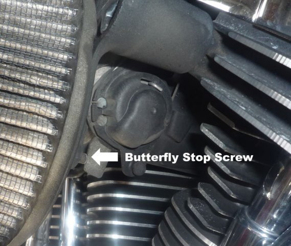 A quick check of the throttle body will show you if the butterfly screw is acting up