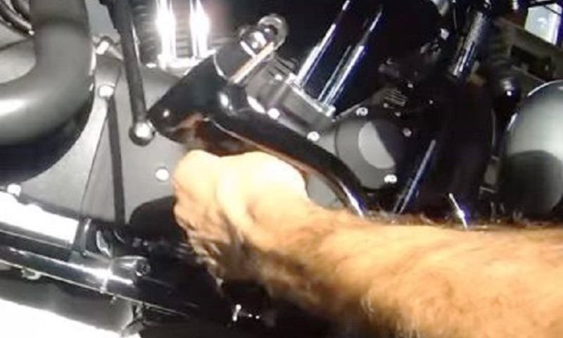 Remove the braking mechanism