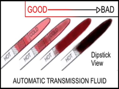 honda transmission fluid color