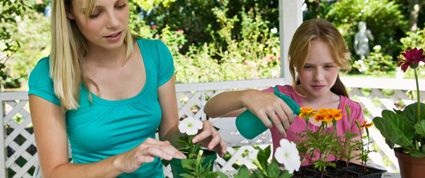 Gardenscape on a Shoestring
