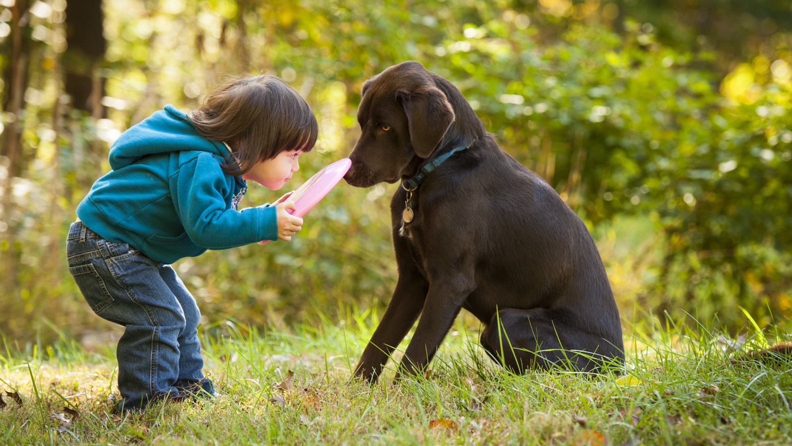 boy playing with dog
