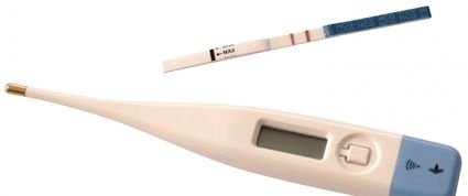 fertility thermometer