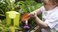 child playing in garden