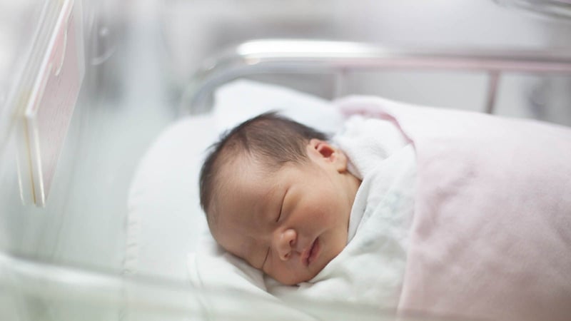 Sleeping baby in hospital basinette