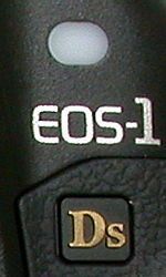 Canon EOS-1Ds Pro SLR. Photos are (c) 2002 Steve's Digicams