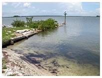 dscn0054.jpg