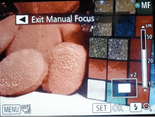 Record - manual focus GIF.gif