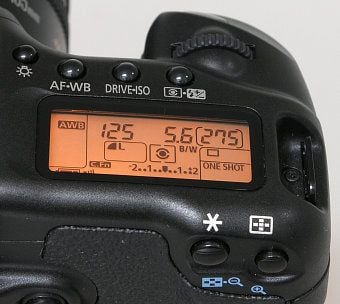Canon EOS 20D, image (c) 2004 Steve's Digicams