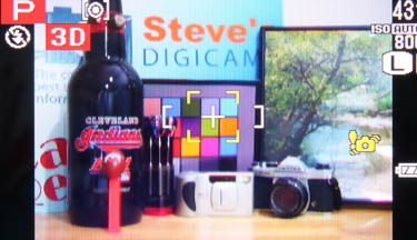Record Screens & Menus - Steve's Digicams