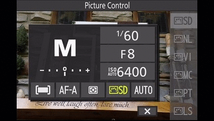 Record - picture control GIF.gif