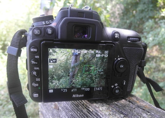 Nikon D7500 back straight on live view.jpg