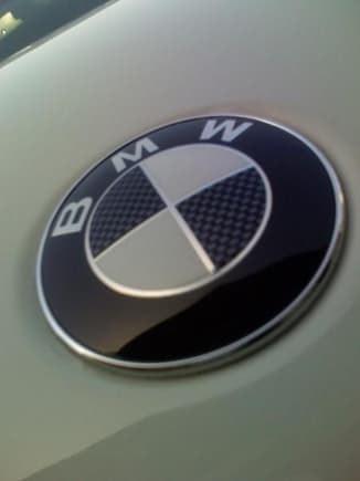 black and white carbon roundels on entire car