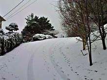 Snow Hill near my home