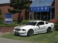 Saleen@moss