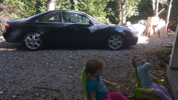 My babies
