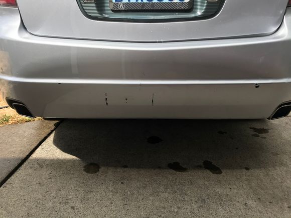 Rear end damage from when I purchased Theas old car. Need to use silver paint to temporarily remove the black spots.