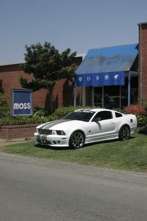 Saleen@moss