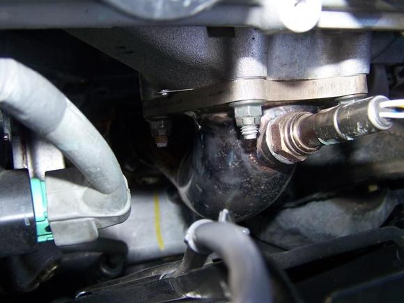 pre cat deletes installed