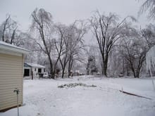 more pics of the ice storm here in il.                                                                                                                                                                  
