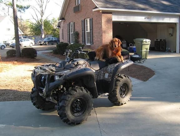 My dog always wants to go for a ride...                                                                                                                                                                 