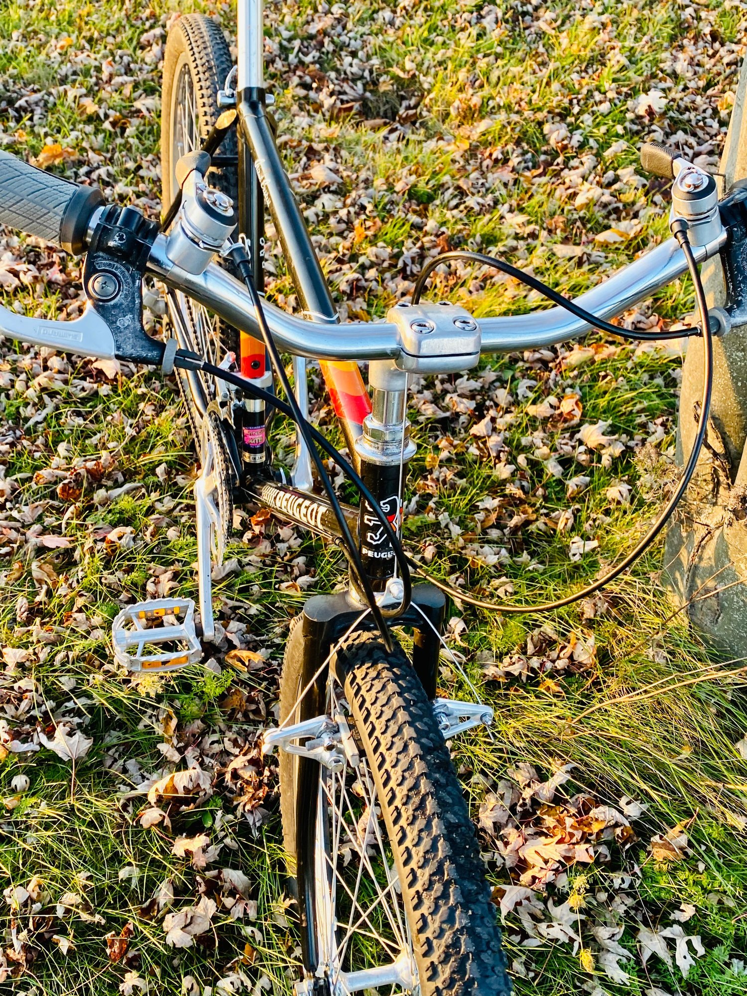 1986 Peugeot Orient Express 19” Bike Forums