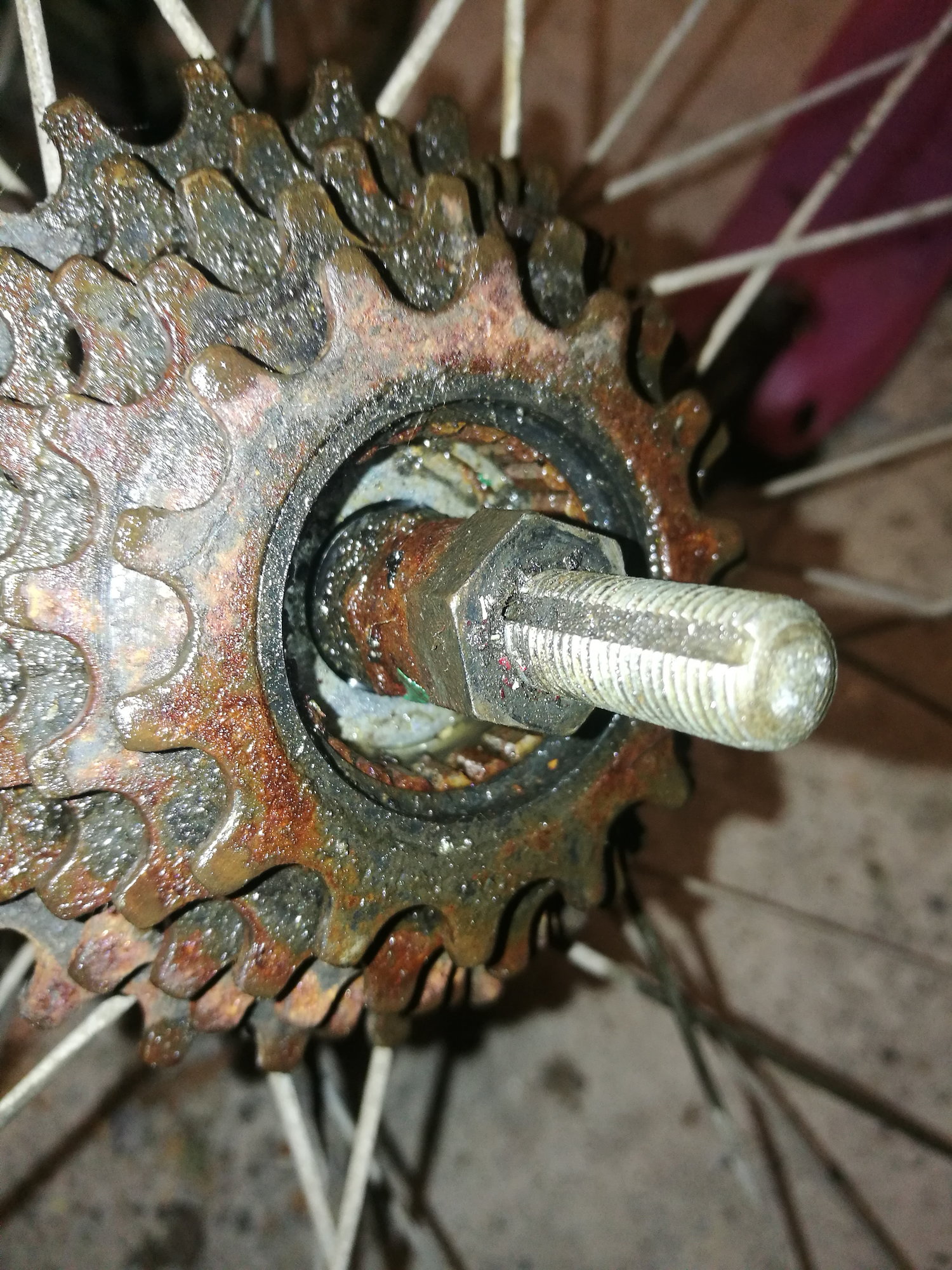 bike freewheel removal
