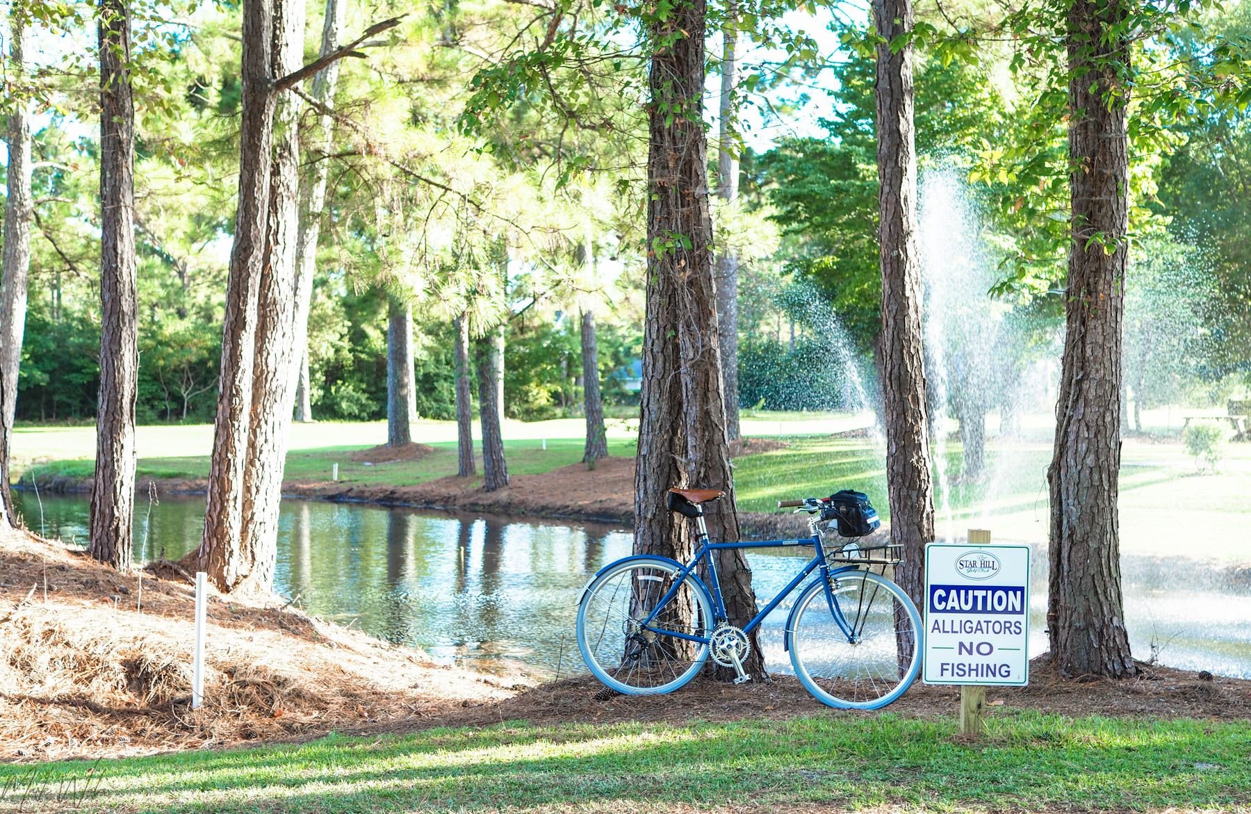 Faire du vélo près de chez moi - P9037178 5D6963Dba865542210307afeeaabef7ece9837fa