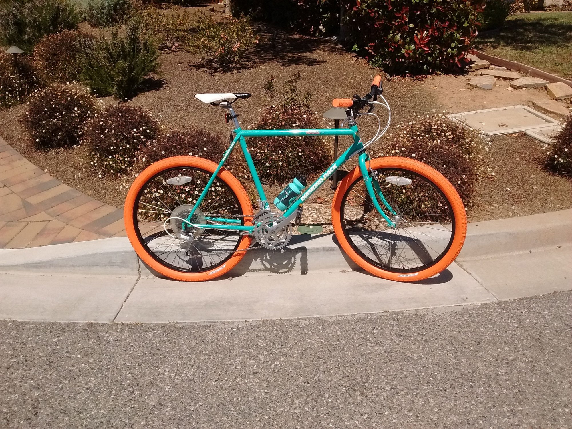Diamondback Carribe