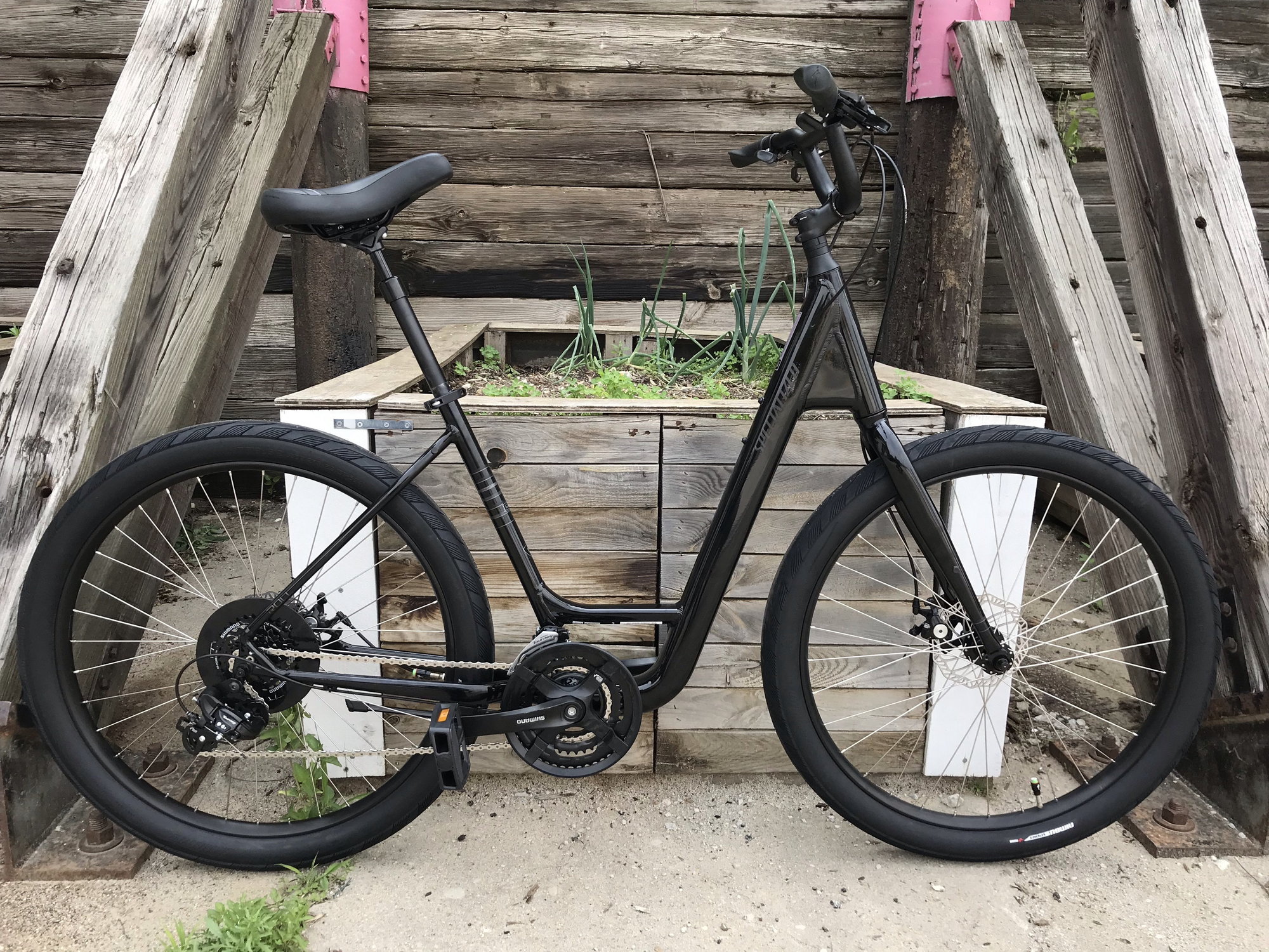 specialized roll sport low entry